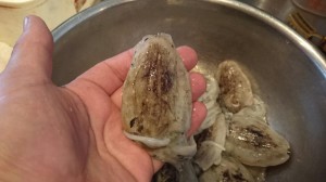 DSC_0470.JPG