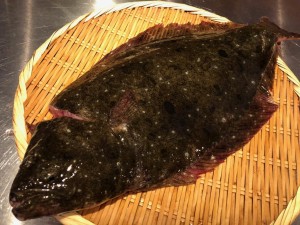 IMG_0111.jpg