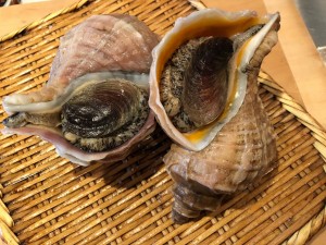 image1_2.jpeg