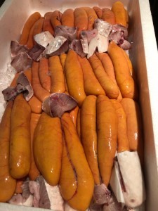 image1_7.jpeg