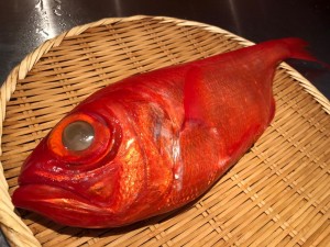 image1_5.jpeg