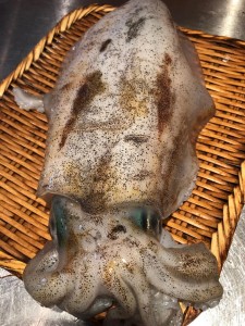 image1_4.jpeg