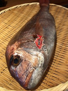 image1_2.jpeg