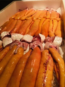 image1_4.jpeg