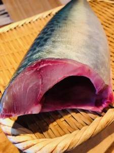 image1.jpeg