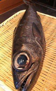 image1.jpeg