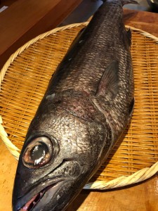 image0_4.jpeg