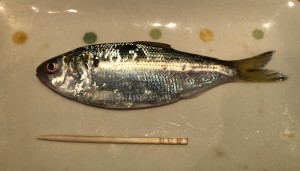 image1_3.jpeg