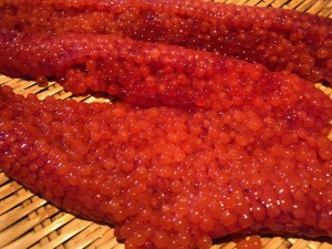 image0_5.jpeg