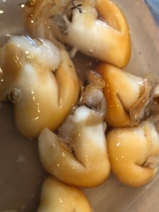 image1.jpeg