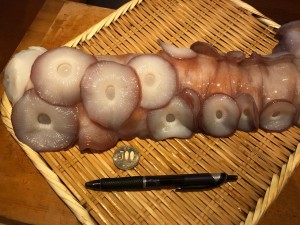 image0_2.jpeg