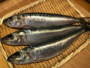 image1.jpeg