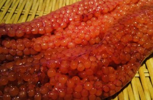 image0.jpeg