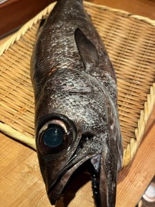 image3.jpeg