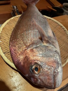 image2.jpeg