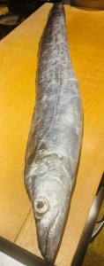 image0_2.jpeg